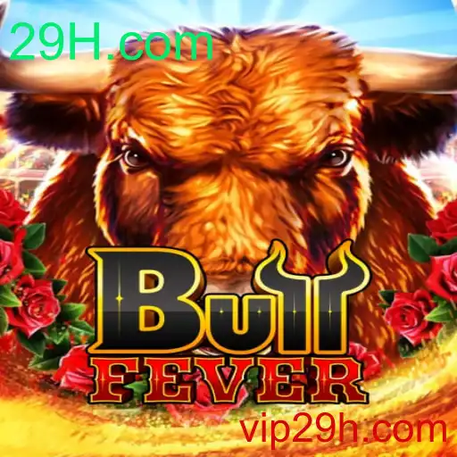 Explorando BullFever: A Nova Sensação dos Jogos de Azar